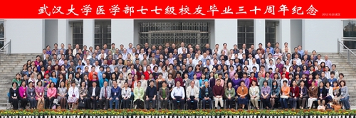 dg百家乐