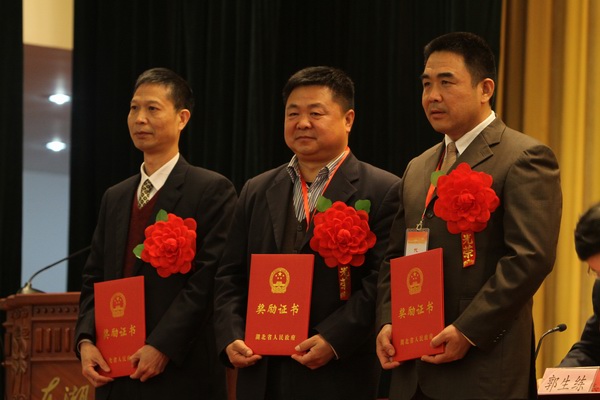 dg百家乐