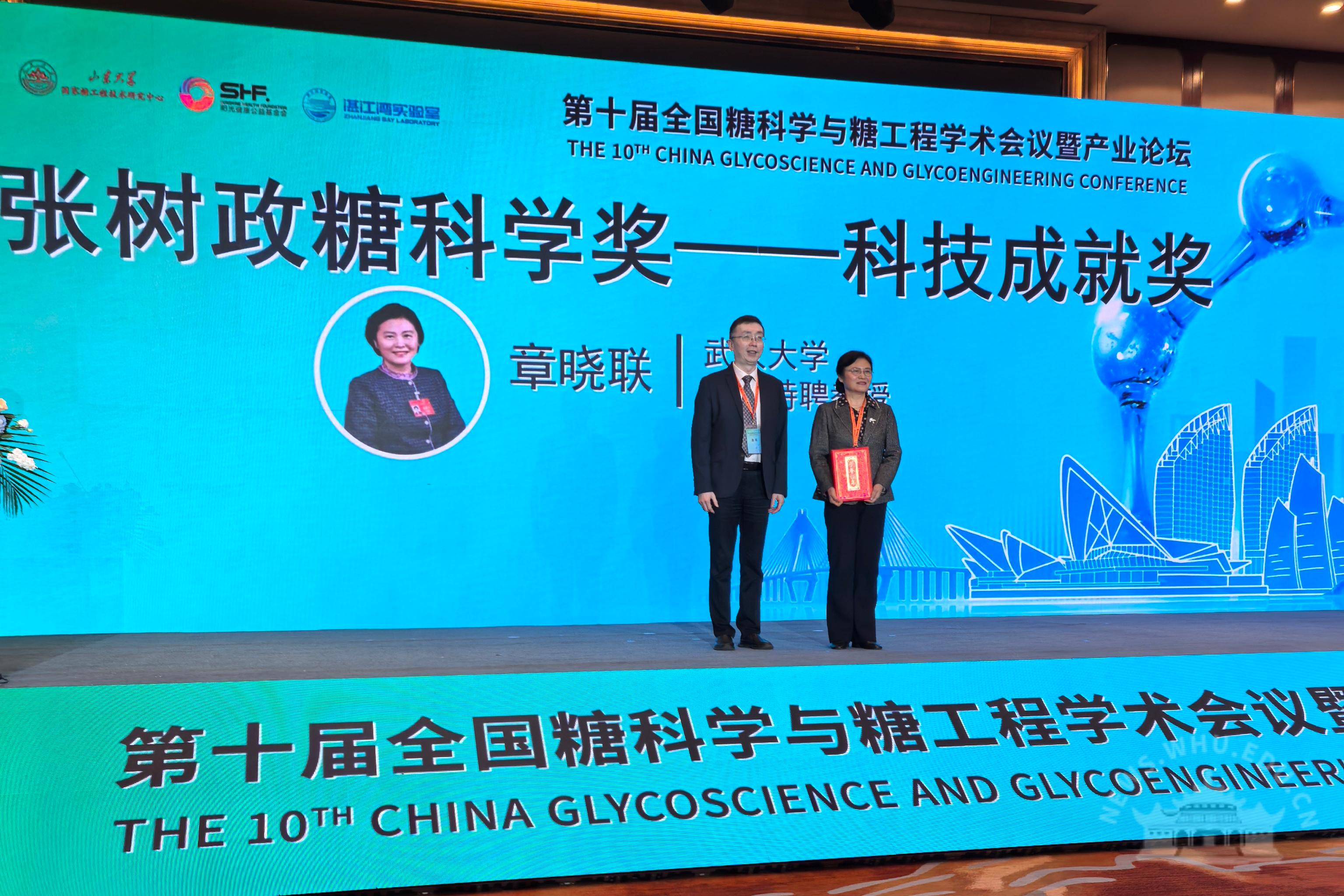 dg百家乐