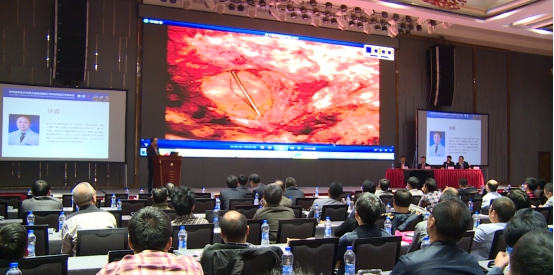 dg百家乐