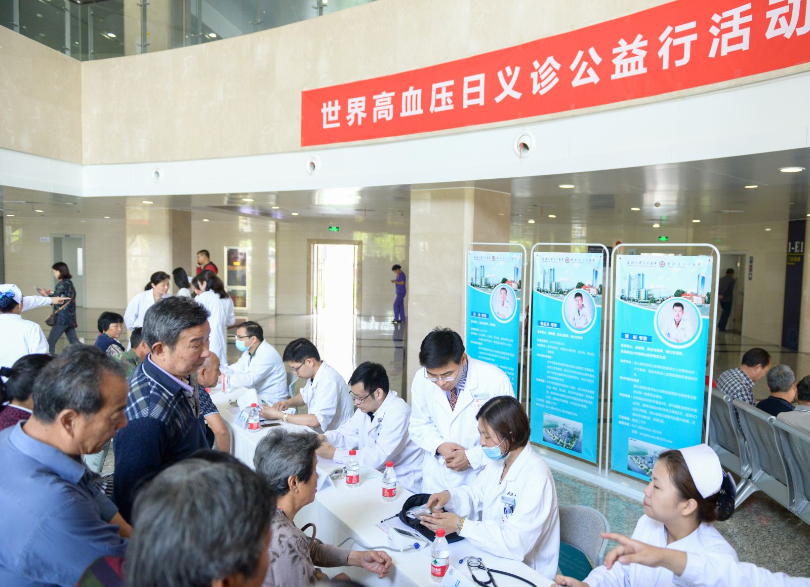 dg百家乐