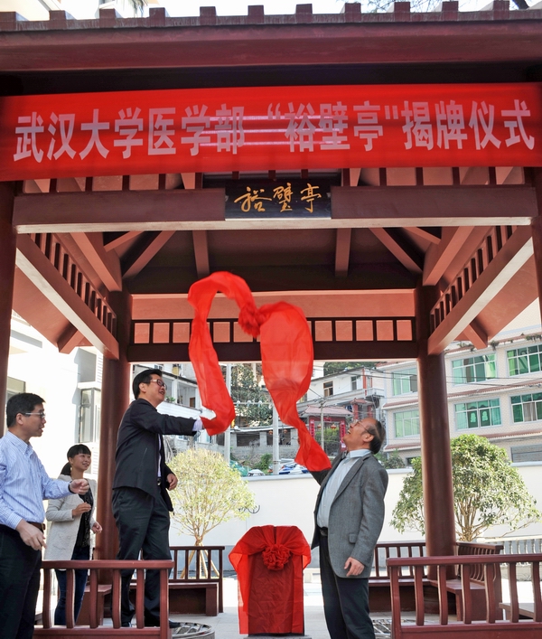 dg百家乐