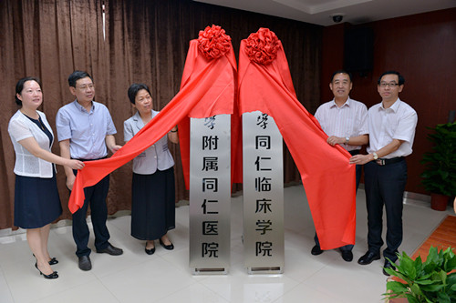 dg百家乐