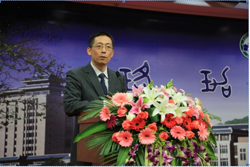 dg百家乐