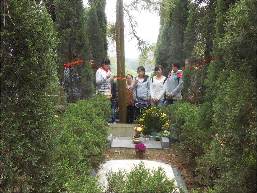 dg百家乐