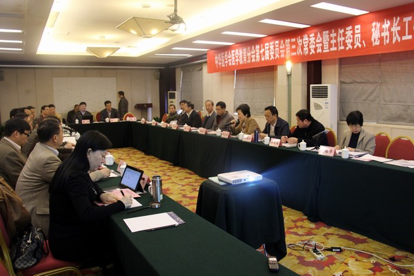 dg百家乐