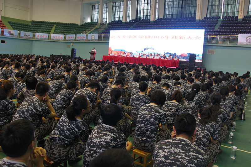 dg百家乐