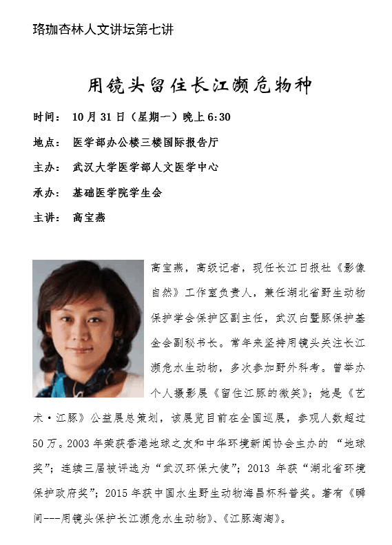 dg百家乐