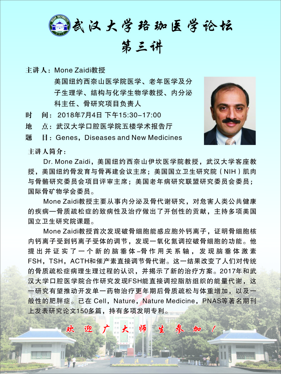 dg百家乐