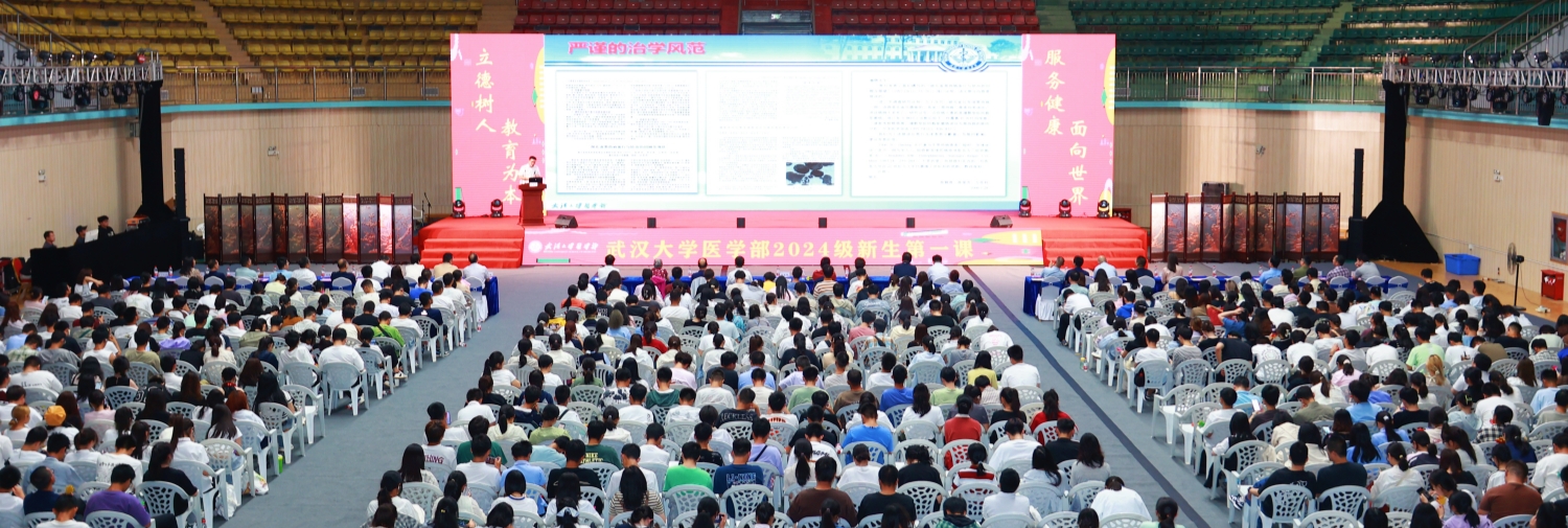 dg百家乐