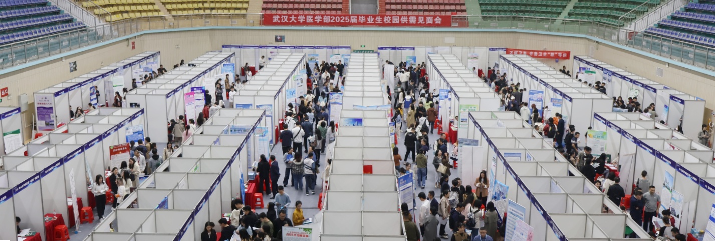 dg百家乐